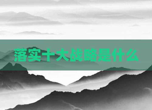 落实十大战略是什么