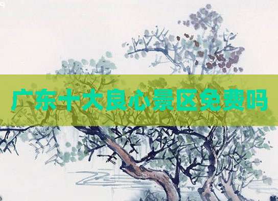 广东十大良心景区免费吗