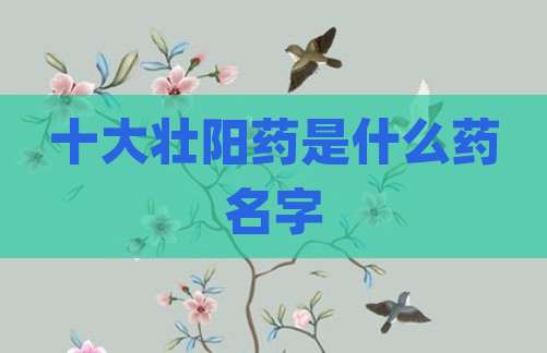 十大壮阳药是什么药名字