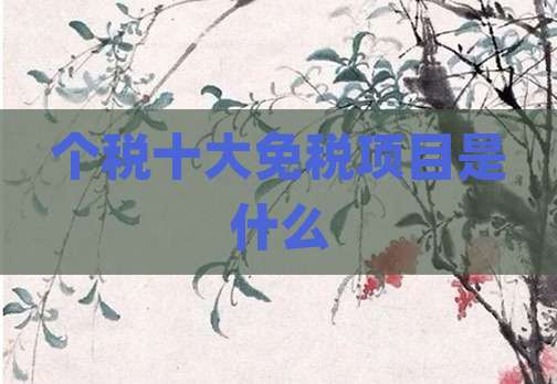 个税十大免税项目是什么