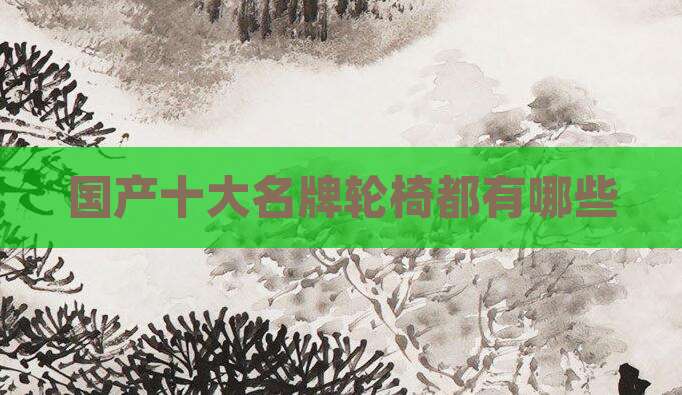国产十大名牌轮椅都有哪些