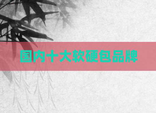 国内十大软硬包品牌