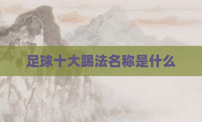 足球十大踢法名称是什么