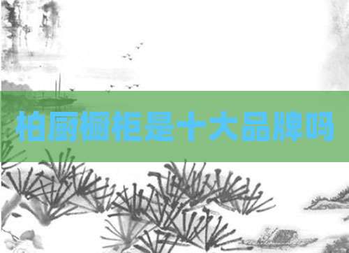 柏厨橱柜是十大品牌吗