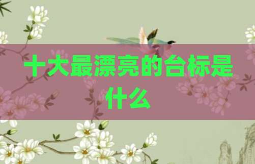 十大最漂亮的台标是什么