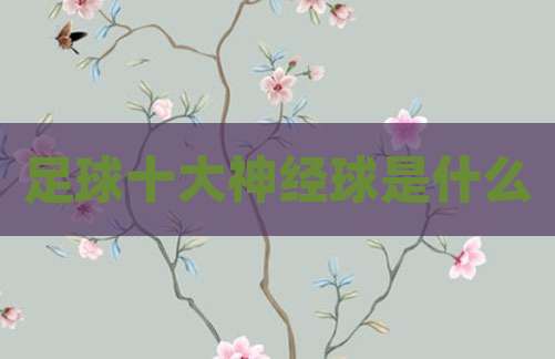 足球十大神经球是什么