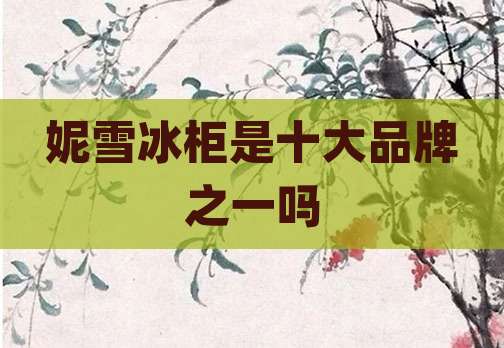 妮雪冰柜是十大品牌之一吗