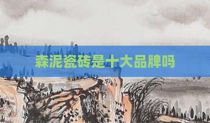 森泥瓷砖是十大品牌吗