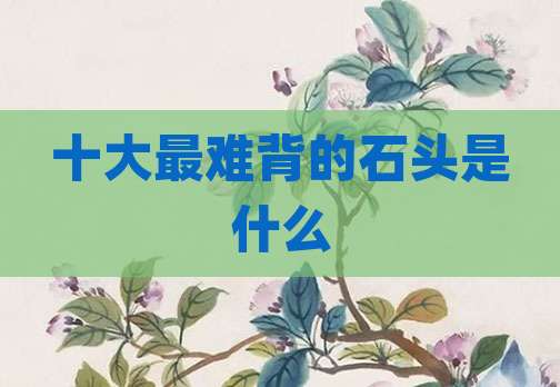 十大最难背的石头是什么