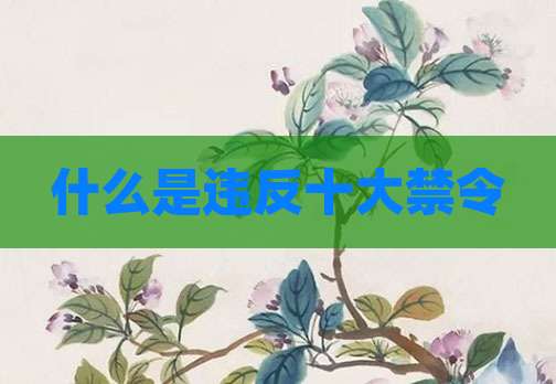 什么是违反十大禁令