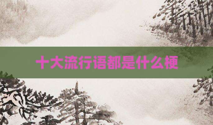 十大流行语都是什么梗