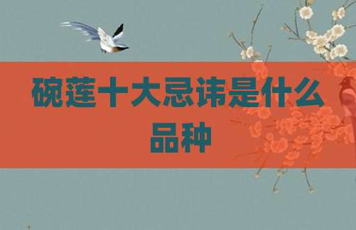 碗莲十大忌讳是什么品种