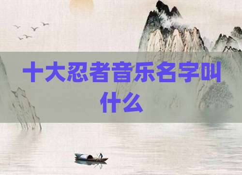 十大忍者音乐名字叫什么