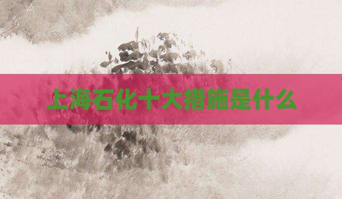 上海石化十大措施是什么