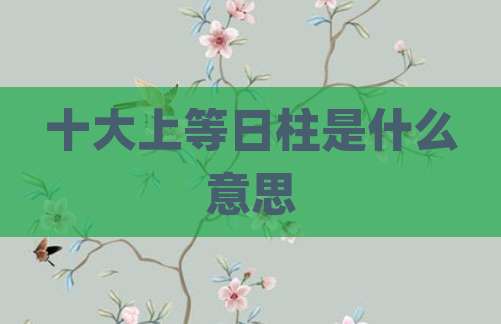 十大上等日柱是什么意思
