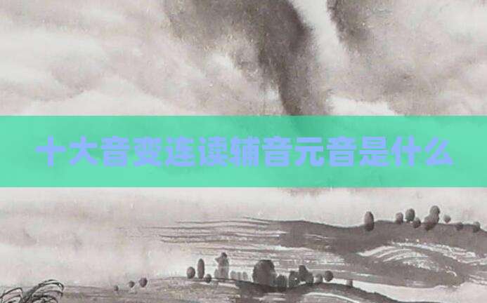 十大音变连读辅音元音是什么