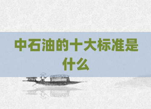 中石油的十大标准是什么