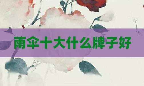雨伞十大什么牌子好