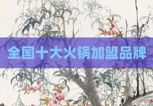 全国十大火锅加盟品牌