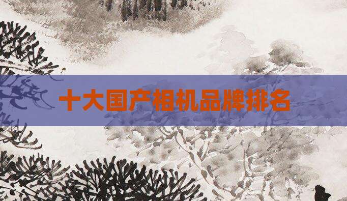 十大国产相机品牌排名