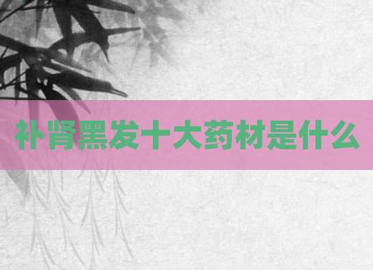 补肾黑发十大药材是什么
