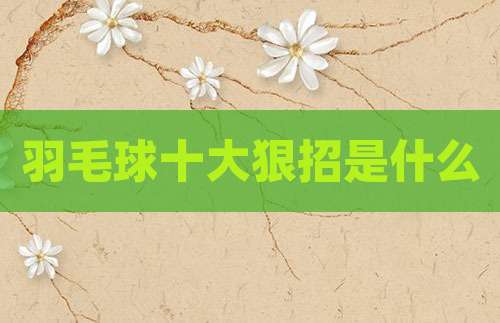 羽毛球十大狠招是什么