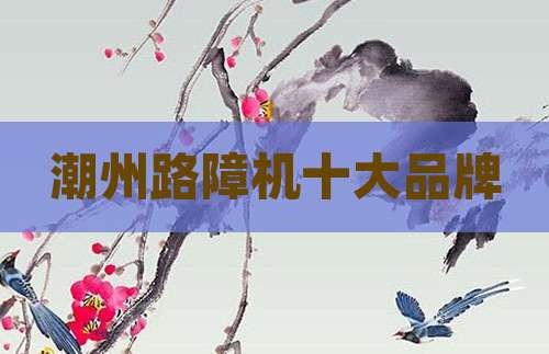 潮州路障机十大品牌