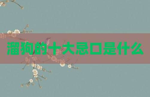 溜狗的十大忌口是什么