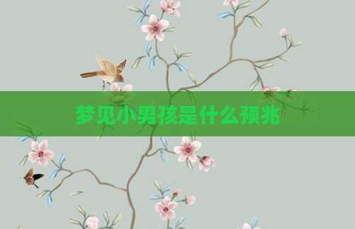 梦见小男孩是什么预兆