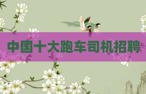 中国十大跑车司机招聘