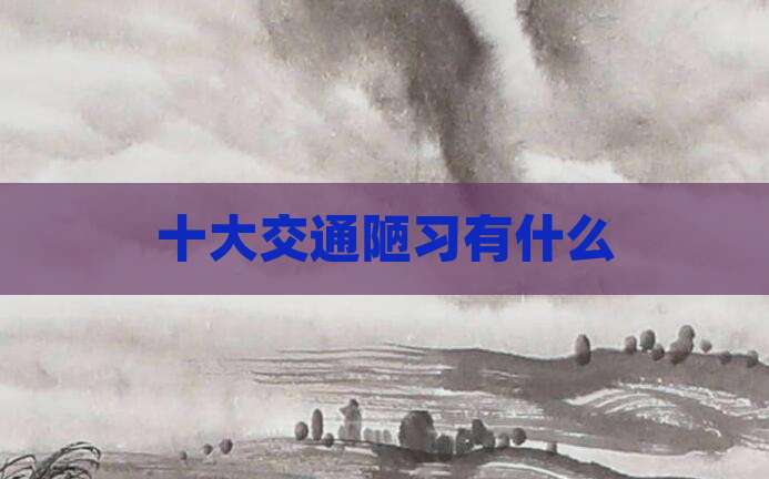 十大交通陋习有什么