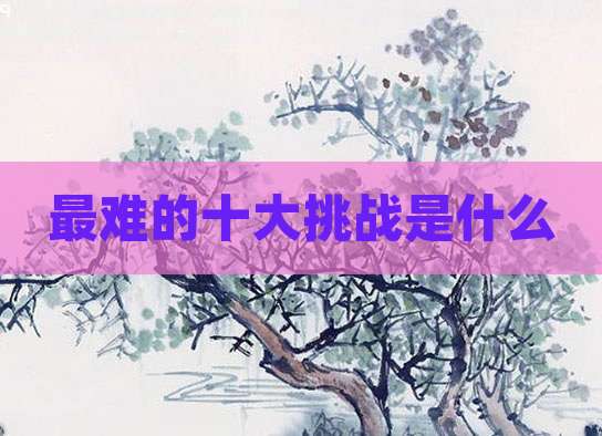 最难的十大挑战是什么