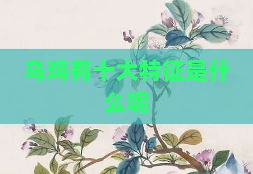 乌鸡有十大特征是什么呢