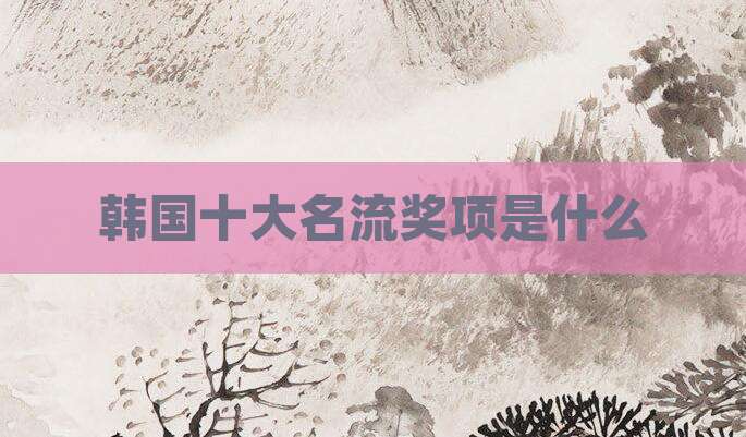 韩国十大名流奖项是什么