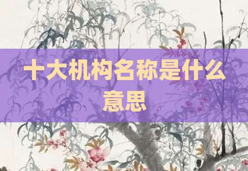 十大机构名称是什么意思