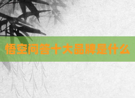 悟空问答十大品牌是什么