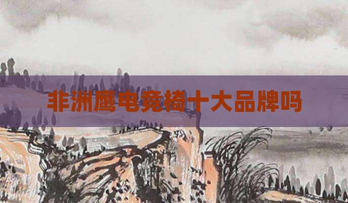 非洲鹰电竞椅十大品牌吗