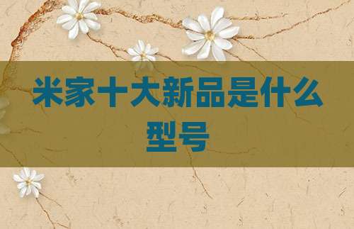 米家十大新品是什么型号