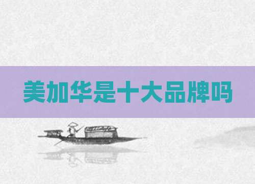 美加华是十大品牌吗