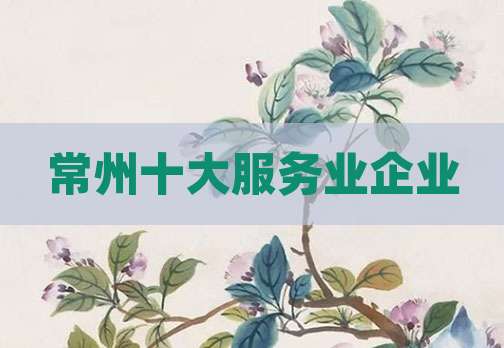 常州十大服务业企业