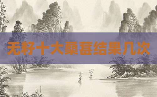 无籽十大桑葚结果几次