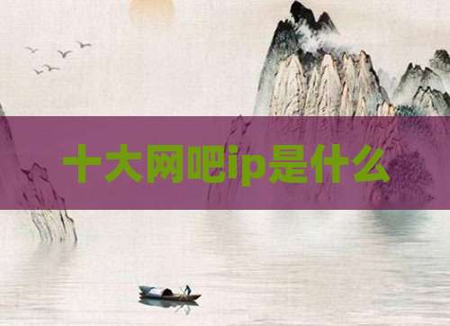 十大网吧ip是什么