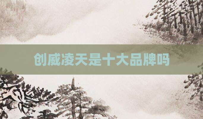创威凌天是十大品牌吗