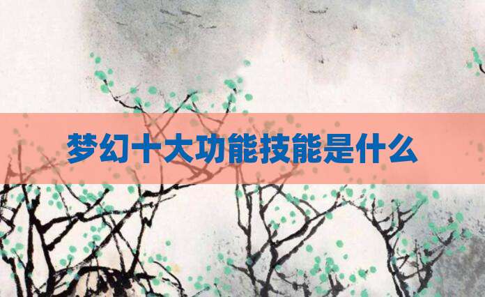 梦幻十大功能技能是什么