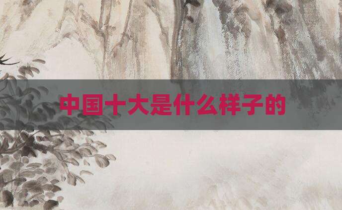 中国十大是什么样子的