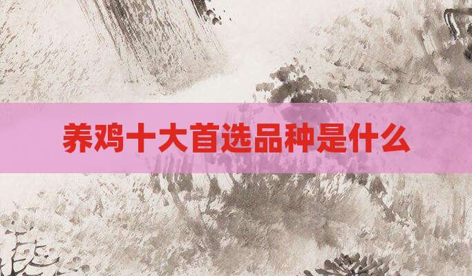 养鸡十大首选品种是什么