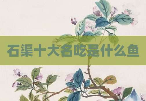 石渠十大名吃是什么鱼