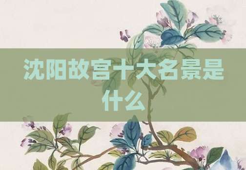 沈阳故宫十大名景是什么