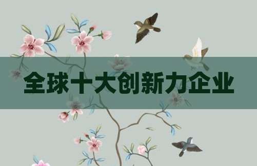 全球十大创新力企业