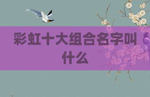 彩虹十大组合名字叫什么